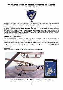 610 LES INSIGNES DE L ALAT EN AFN PAR CHRISTIAN MALCROS_000042